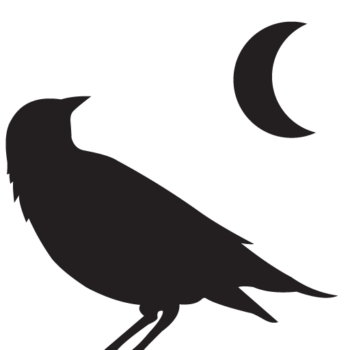 black raven silhouette looking over its shoulder at the moon